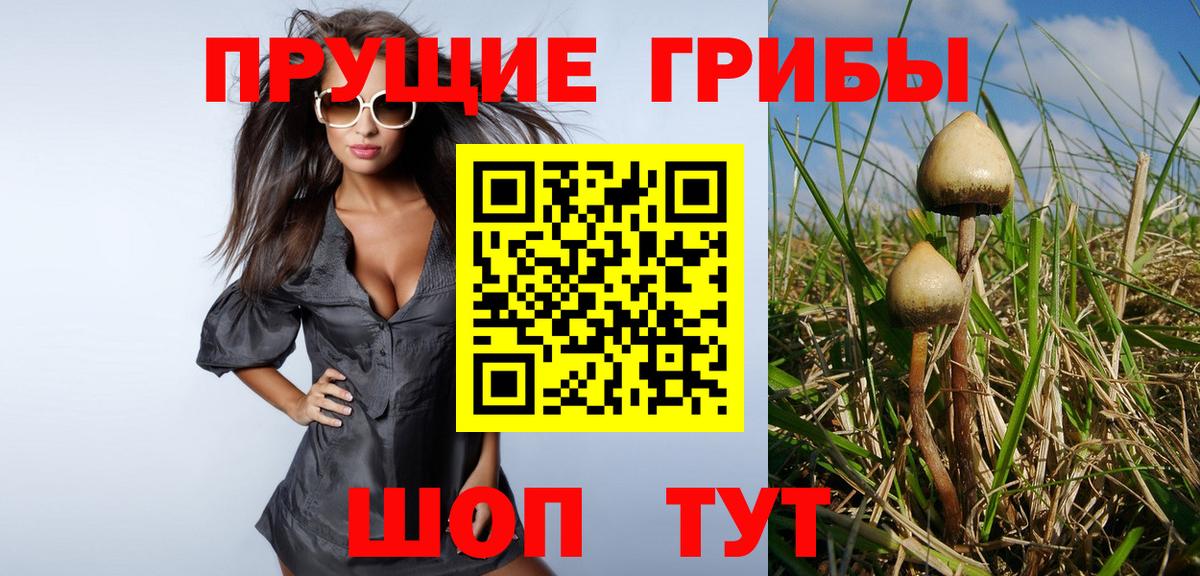 Псилоцибиновые грибы Psilocybine cubensis Коряжма